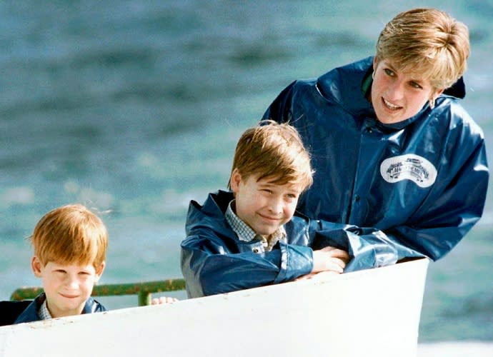 Prince Harry, Prince William, and Princess Diana in 1991. - Credit: ASSOCIATED PRESS.