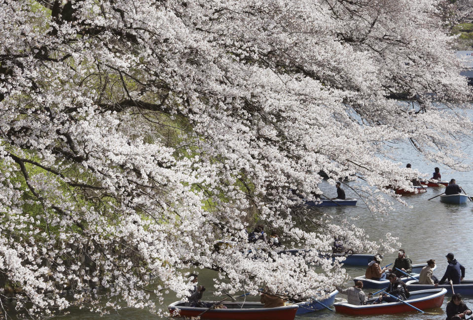 In this Wednesday, April 3, 2019, file photo, people on boat enjoy blooming cherry blossoms along the Chidorigafuchi Imperial Palace moat in Tokyo. (AP Photo/Koji Sasahara, File)