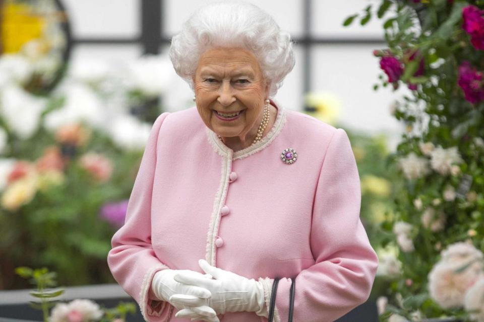 The Queen smiled as she toured around the flower show today (AFP/Getty Images)