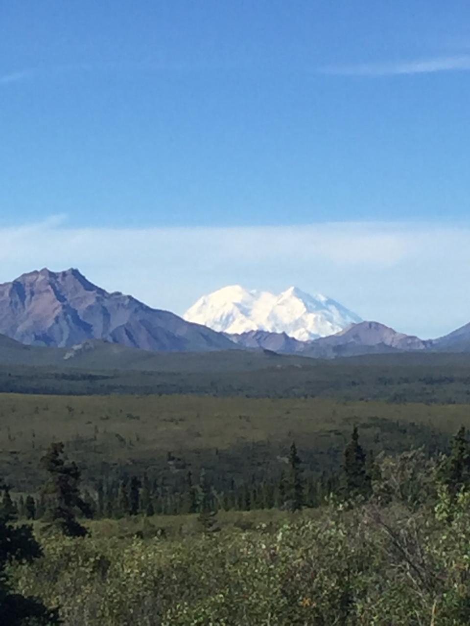 Only 30 percent of visitors to Denali actually see the mountain. (Photo: Courtesy of Ann Brenoff)