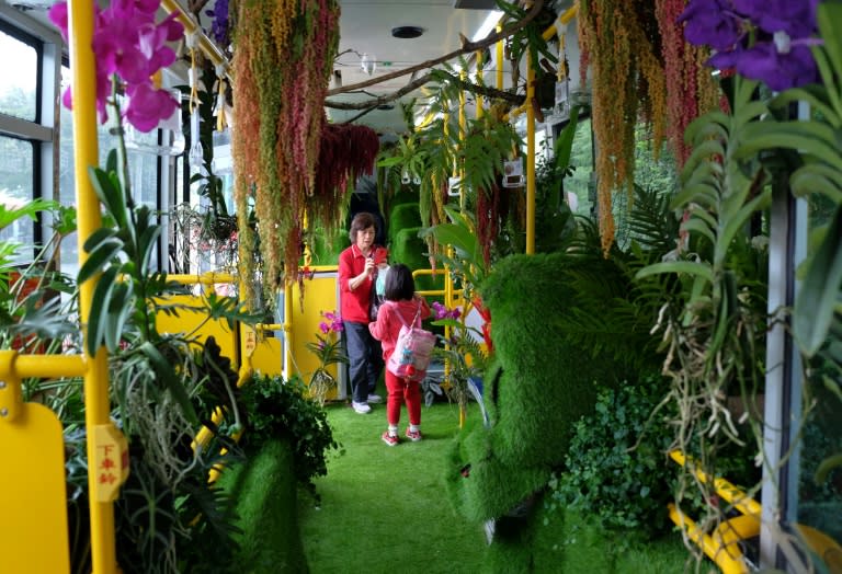 The ordinary single-deck city bus has been converted into a travelling green house decorated with orchids, ginger lilies and a variety of ferns is running on a special route through Taipei