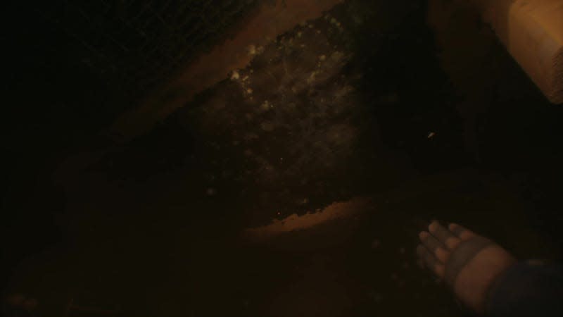 Screenshot: The Chinese Room / Kotaku