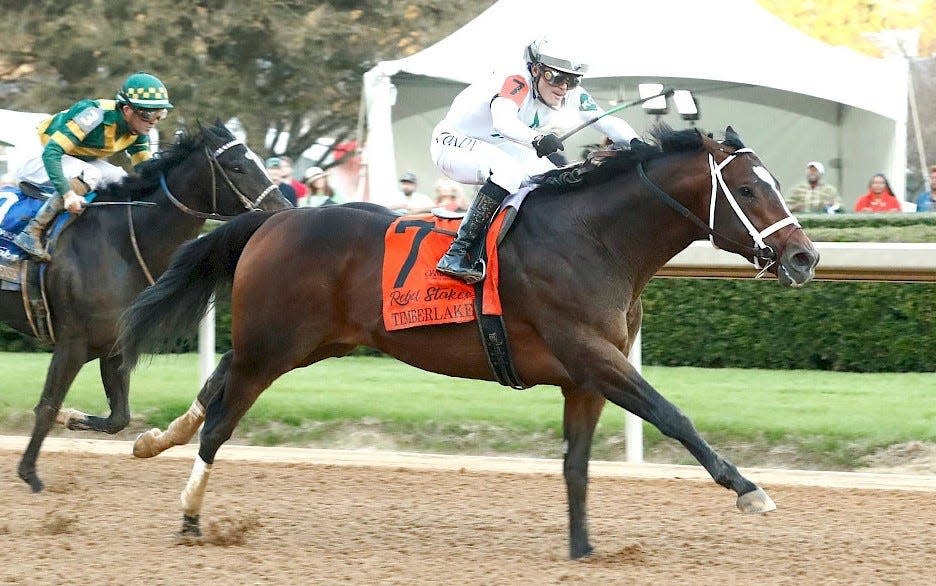 Timberlake and jockey Cristian Torres won the Grade 2 Rebel Stakes on Feb. 24 at Oaklawn Park in Hot Springs, Arkansas.