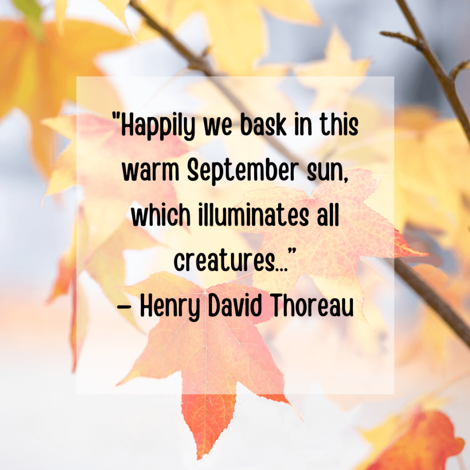 September Quotes