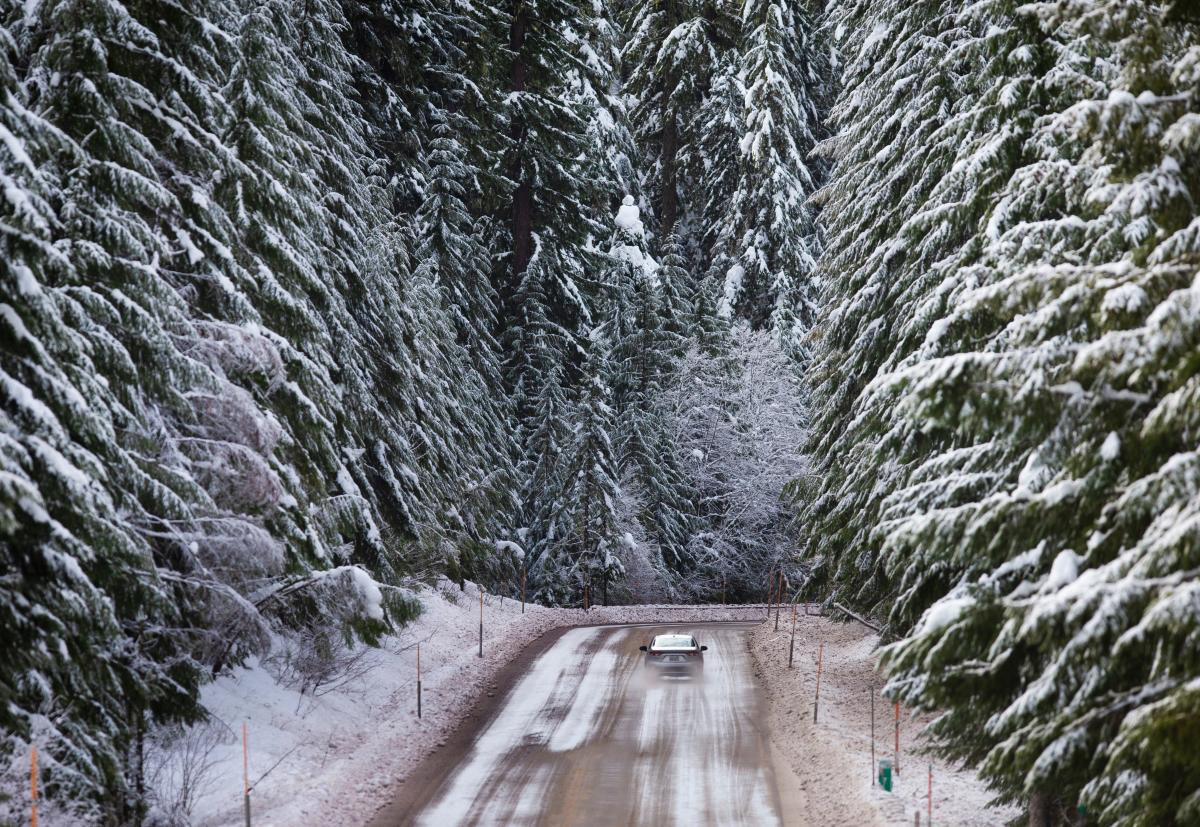 oregon snow levels