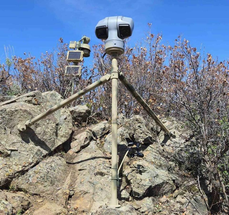 A new Cal Poly rattlesnake research livestream broadcasts video of a rare “mega-den” in Colorado that’s home to hundreds of snakes.