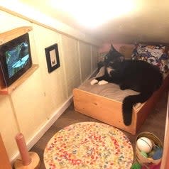 A cat with a small bedroom under the stairs, it has a bed, rug, toys, and a small TV