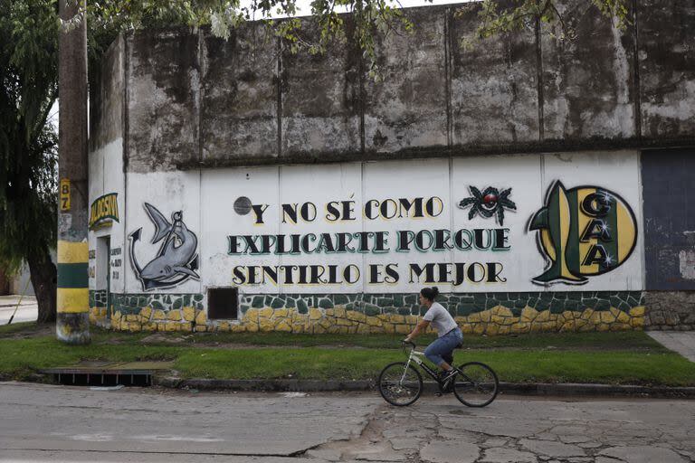 Pintadas de Aldosivi que muestran el fanatismo por el club del puerto