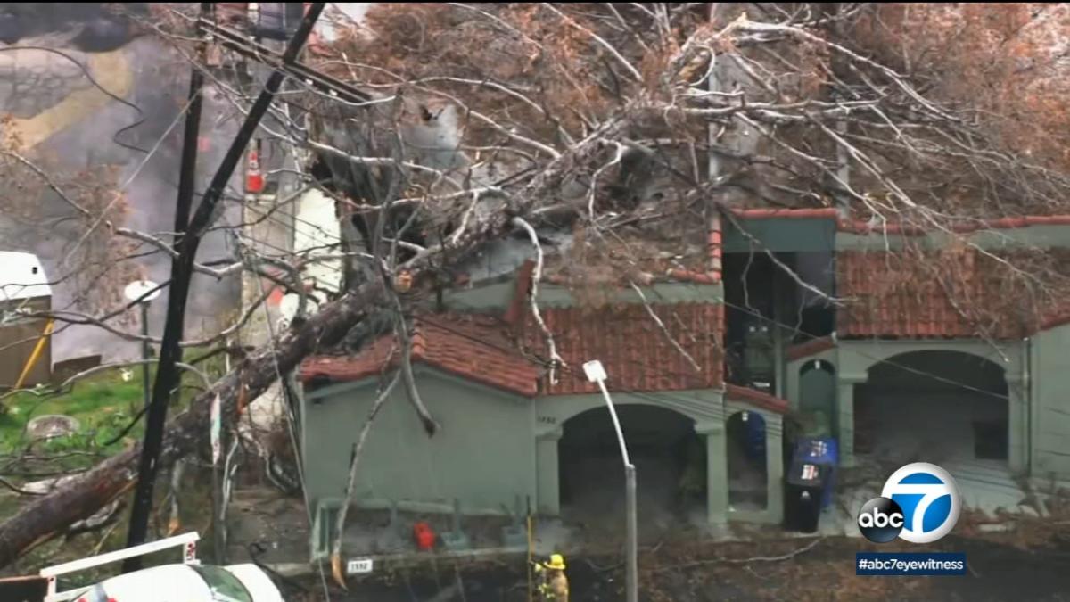 Firefighters Rescue Man Trapped Underneath Fallen Tree In Echo Park