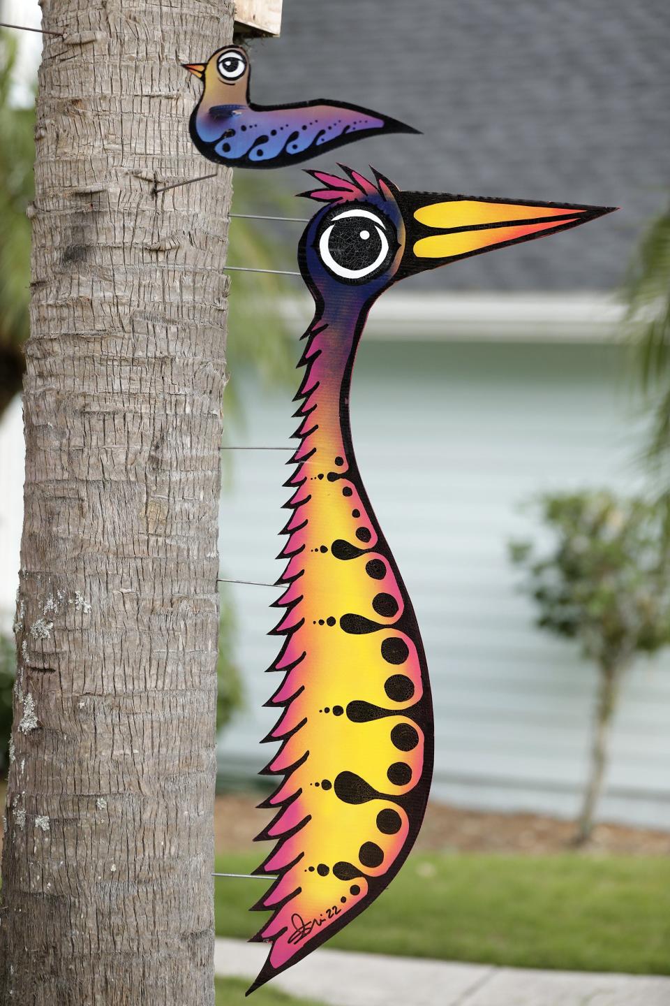 A pair of Scotie Cousin's colorful birds brighten up a palm tree near his Atlantic Beach home.