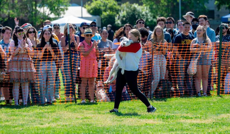 Annabelle Peterson of Livermore carries her dog Tutter after he leapt into her arms following their turn in the Frisbee Dog contest at UC Davis’ Picnic Day on Saturday.