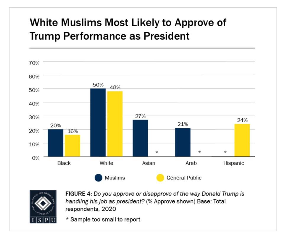 Looking at racial breakdowns, 50% of white Muslims approve of the way Donald Trump is handling his job as president, on par with 48% of white Americans in the general public. (Photo: Institute for Social Policy and Understanding)
