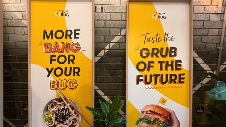 Two signs from Yum Bug