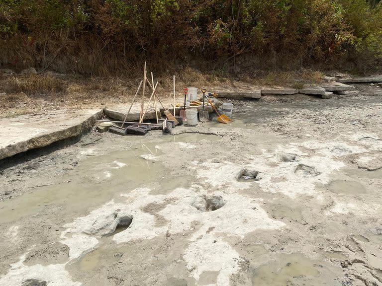 Huellas de dinosaurios de hace unos 113 millones de años, descubiertas en el Parque Estatal de Texas después de una severa sequía que secó un río