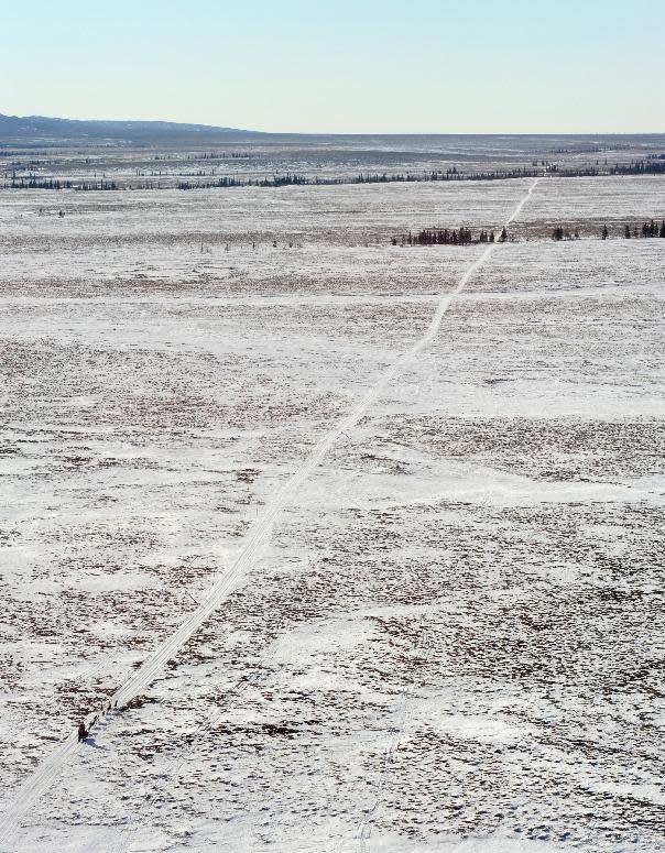 Aliy Zirkle mushes her dog team between the checkpoints of Kaltag and Unalakleet during the 2014 Iditarod Trail Sled Dog Race on Saturday, March 8, 2014. (AP Photo/The Anchorage Daily News, Bob Hallinen)