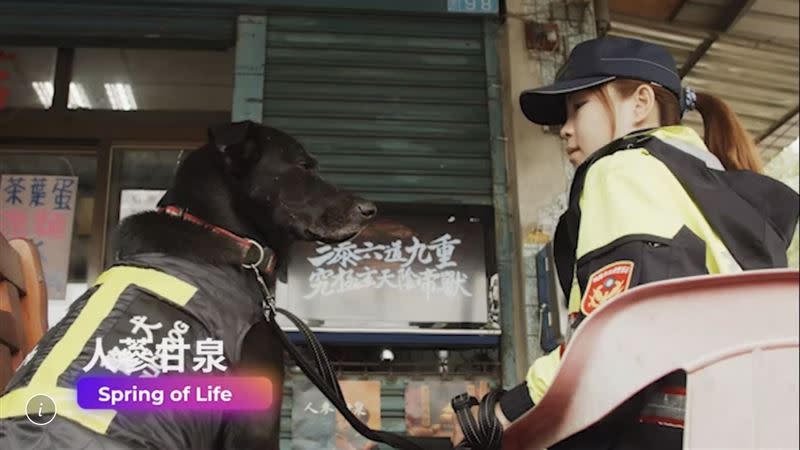 分局其他各單位所飼養的警犬也都是自小就在駐地長大。（圖／桃園市平鎮警分局提供）