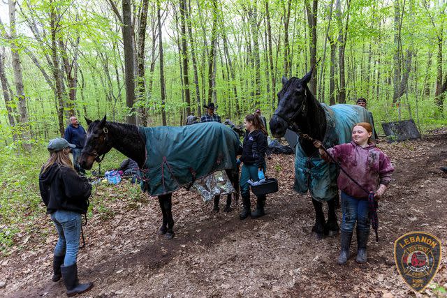 <p>Lebanon Volunteer Fire Department Inc./Facebook</p> Pair of horses rescued from Connecticut mud