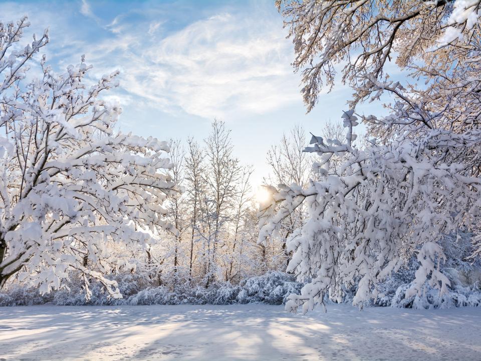 A snowy winter sunrise scene in Ohio with the snow clinging to the trees.