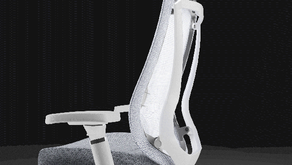 Arc 人體工學椅 - 雙背框設計