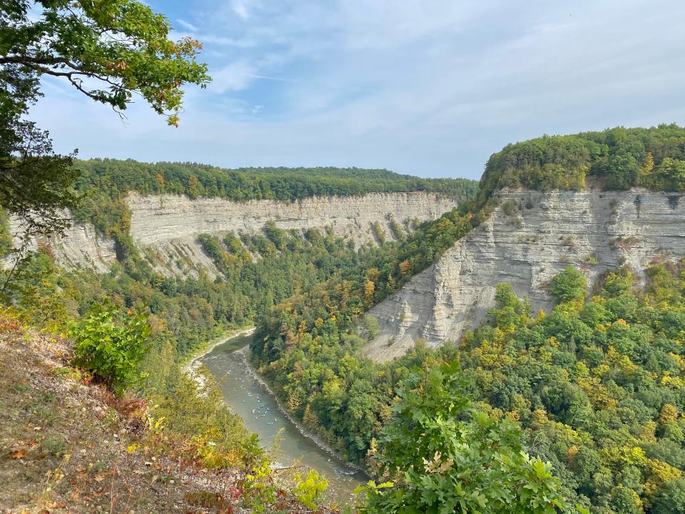 A stream of water runs between a large gorge dotted with trees.