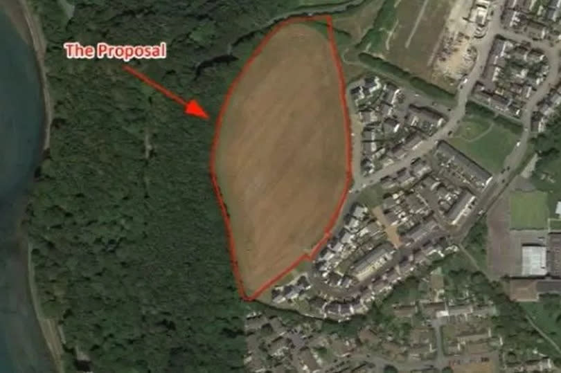 An aerial shot showing where the house would be built in Looe