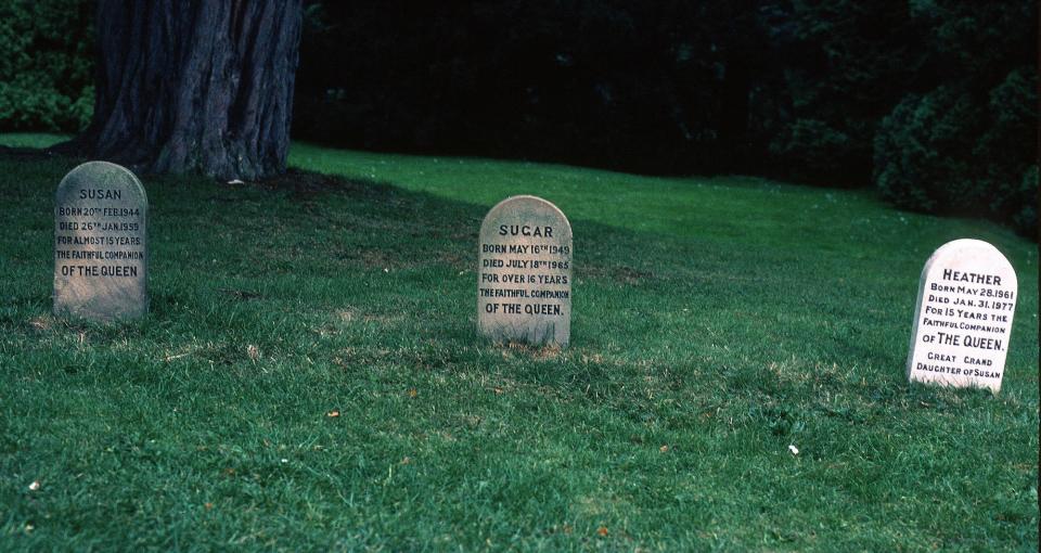 Queen corgi graves sandringham