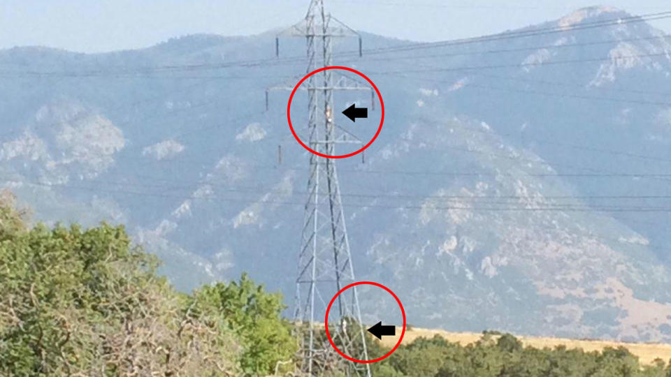 A Sheriff's Department in Utah said in recent years people have been setting up hammocks on power lines. Source: Facebook/Weber County Sheriff's Office