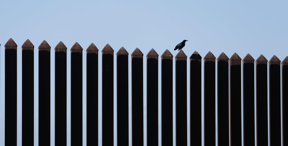 In this Sept. 4, 2012, photo, a bird perches on the U.S.-Mexico border fence that passes through the Nature Conservancy's southernmost preserve in Brownsville, Texas. Since 2008, hundreds of landowners on the border have sought fair prices for property that was condemned to make way for the fence, but many of them received initial offers that were far below market value. (AP Photo/Eric Gay)