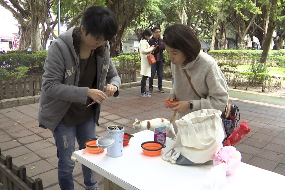 In this image made from video, Taiwanese math teacher Hung Pei-ling, left, prepares cat food for stray cats with another volunteer in Taipei, Taiwan, on Dec 20, 2020. Launched in September, the “cafeteria” is actually 45 small wooden houses painted by Taiwanese artists and scattered across Taipei. The idea is to give the cats a place to rest while making feeding them less messy. (AP Photo/Huizhong Wu)