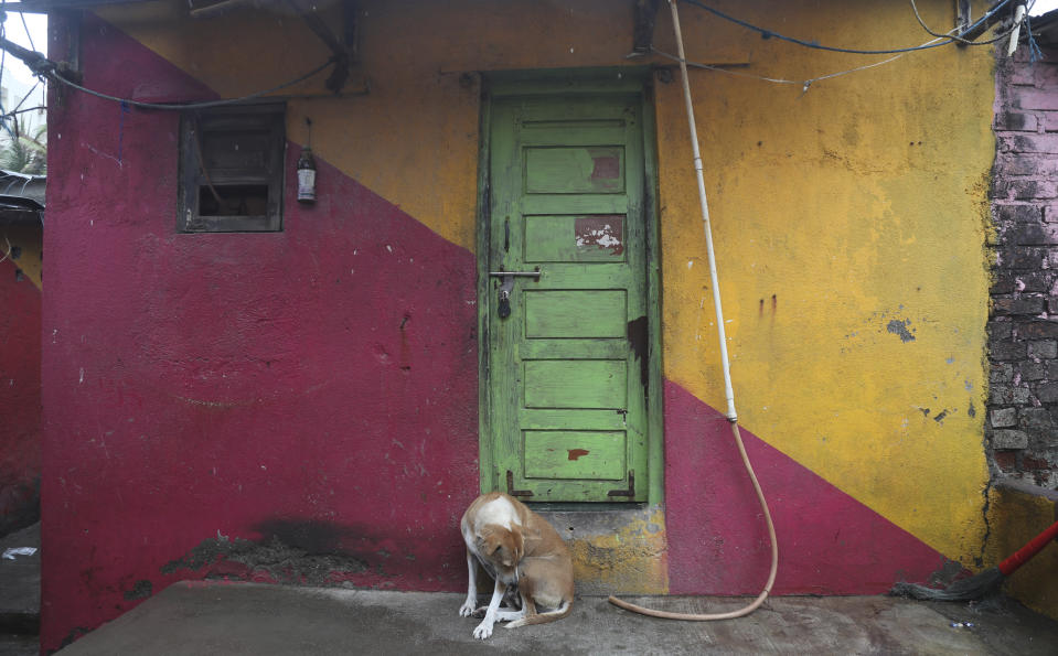 A dog sits by the door of a house whose residents have been evacuated, by the shores of the Arabian Sea in Mumbai, India, Wednesday, June 3, 2020. A storm in the Arabian Sea off India's west coast intensified into a severe cyclone on Wednesday, gathering speed as it barreled toward India's financial capital of Mumbai. Nisarga was forecast to drop heavy rains and winds gusting up to 120 kilometers (75 miles) per hour when it makes landfall Wednesday afternoon as a category 4 cyclone near the coastal city of Alibagh, about 98 kilometers (60 miles) south of Mumbai, India's Meteorological Department said. (AP Photo/Rafiq Maqbool)