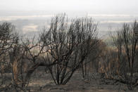 Bushfires in Kangaroo Island, Australia