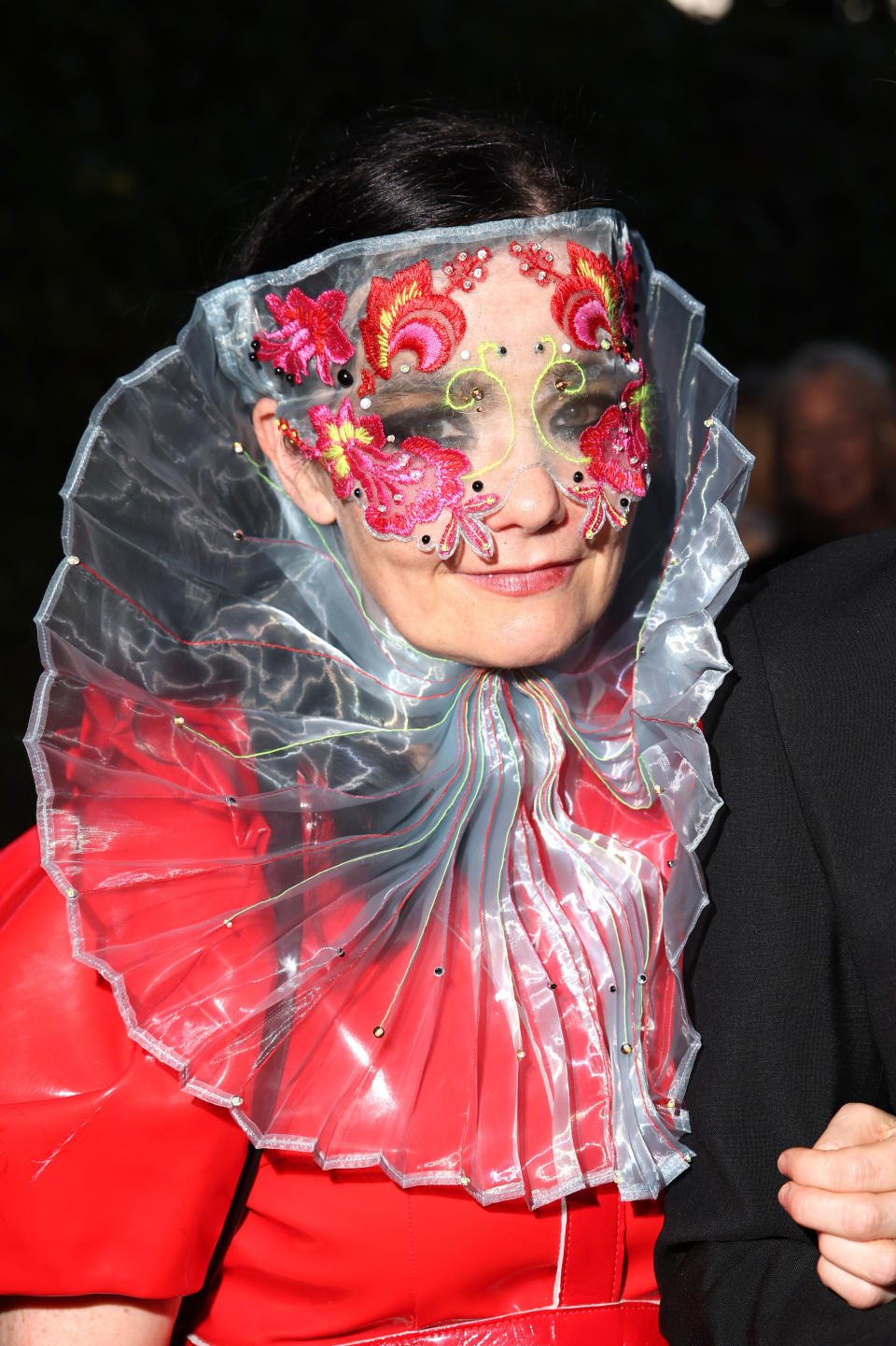 Björk wearing an elaborate outfit with a translucent ruffled collar and a mask featuring colorful floral designs. Red carpet event attire