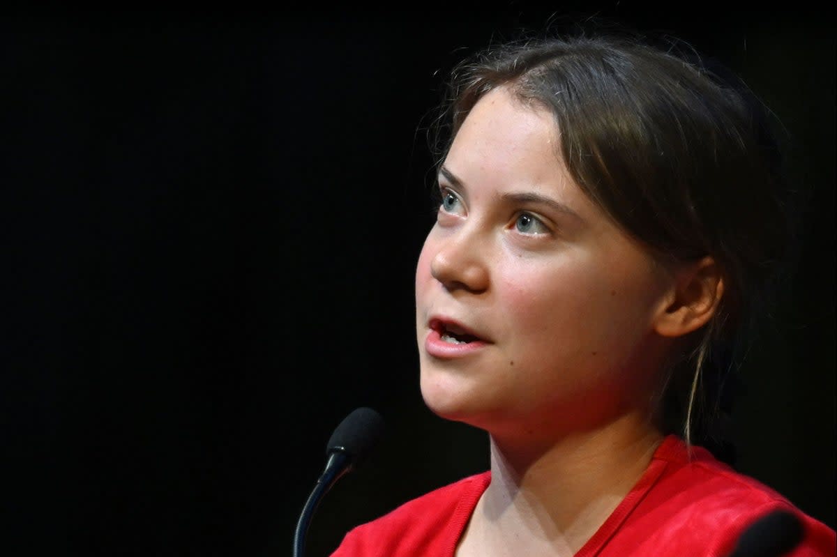 Greta Thunberg speaking at the Southbank Centre's Royal Festival Hall on Sunday (AFP via Getty Images)