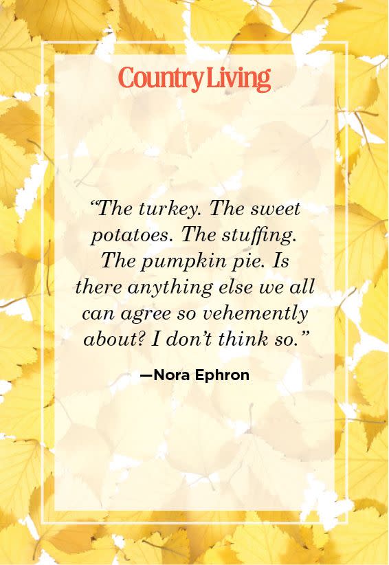 <p>"The turkey. The sweet potatoes. The stuffing. The pumpkin pie. Is there anything else we can agree so vehemently about? I don't think so."</p>