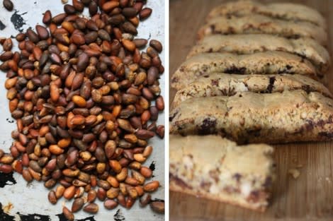 Wild pine nuts and pine nut biscotti