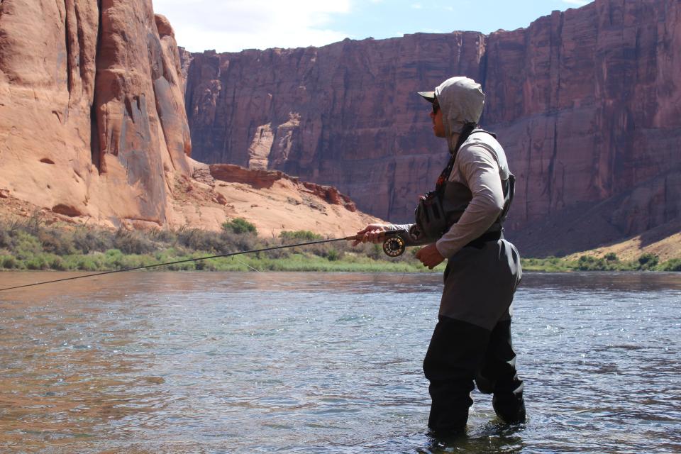 Nathan Rees, of Trout Unlimited, fly fishes in the Colorado River near Lees Ferry.