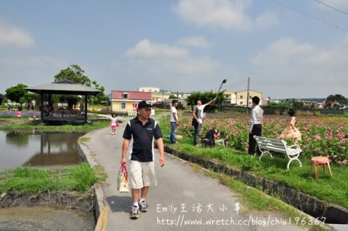 中社觀光花市～原來我是這麼愛向日葵！