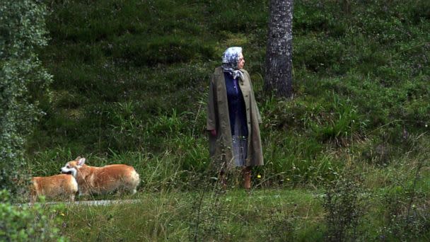 PHOTO: Queen Elizabeth II walks with her corgis after having had lunch at Balmoral Castle, Aug. 24, 2008. (Nunn Syndication/Polaris)