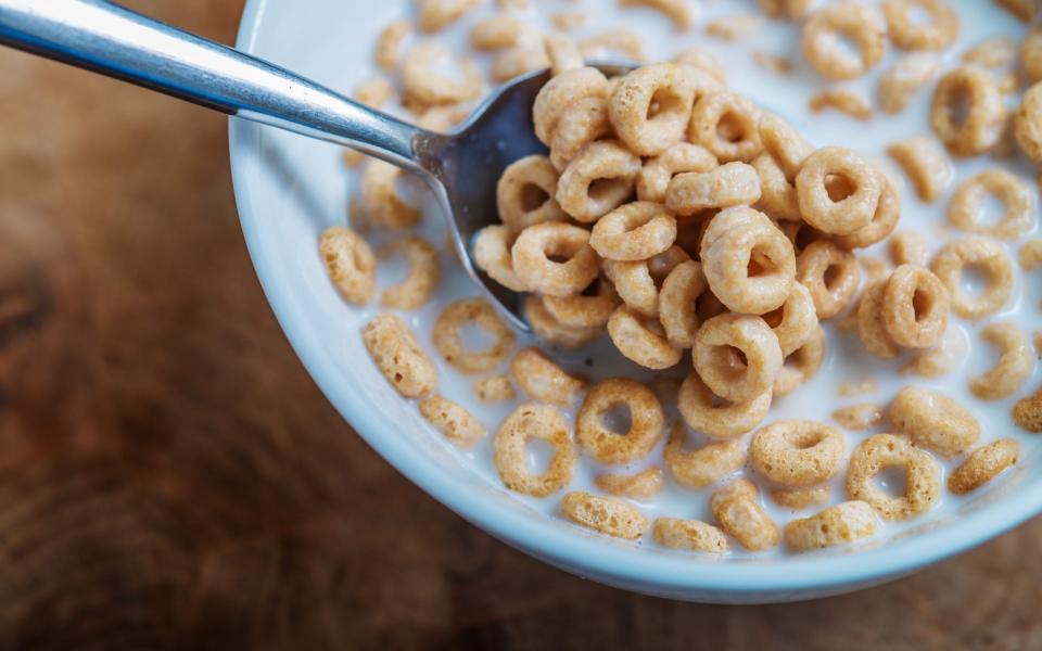 Some nutritionists argue fortified cereal is a valuable source of nutrients for people who don’t eat a balanced diet - Portis Imaging / Alamy Stock Photo