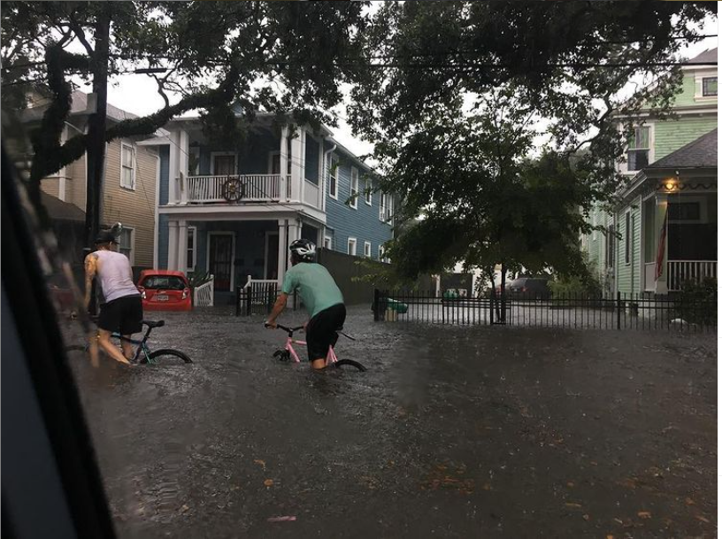 Bicyclists brave flooded Banks Street in New Orleans, Aug. 5, 2017, in this photo Dreilinger took from her car.