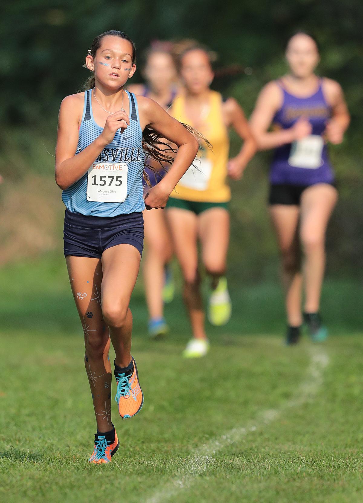 2022 OHSAA Cross Country Championships What to know about the state meet