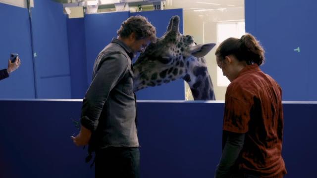 Yes, They Used A Real Giraffe For The Last Of Us Season 1 Finale