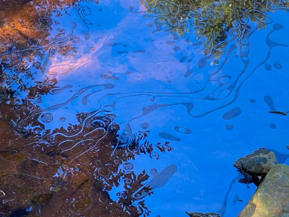 An oily sheen covers the surface of a creek that runs through Columbia’s Memorial Park on Dec. 5, 2021. A diesel spill discolored the creek.