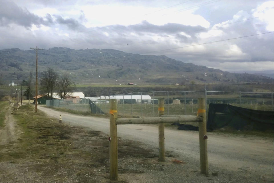 A complex of licensed marijuana grows north of Brewster, in north-central Washington state, is seen on Friday, April 7, 2023. Cannabis regulators have halted operations at several outdoor pot farms and processing facilities located on a stretch of former fruit orchards in north-central Washington state after testing found high levels of chemicals related to a dangerous pesticide used decades ago. The sweeping action announced Thursday night, April 6, 2023, by the Liquor and Cannabis Board renewed concerns about pesticides in marijuana, and put dozens of people at least temporarily out of work just as they were preparing for spring planting. (AP Photo)