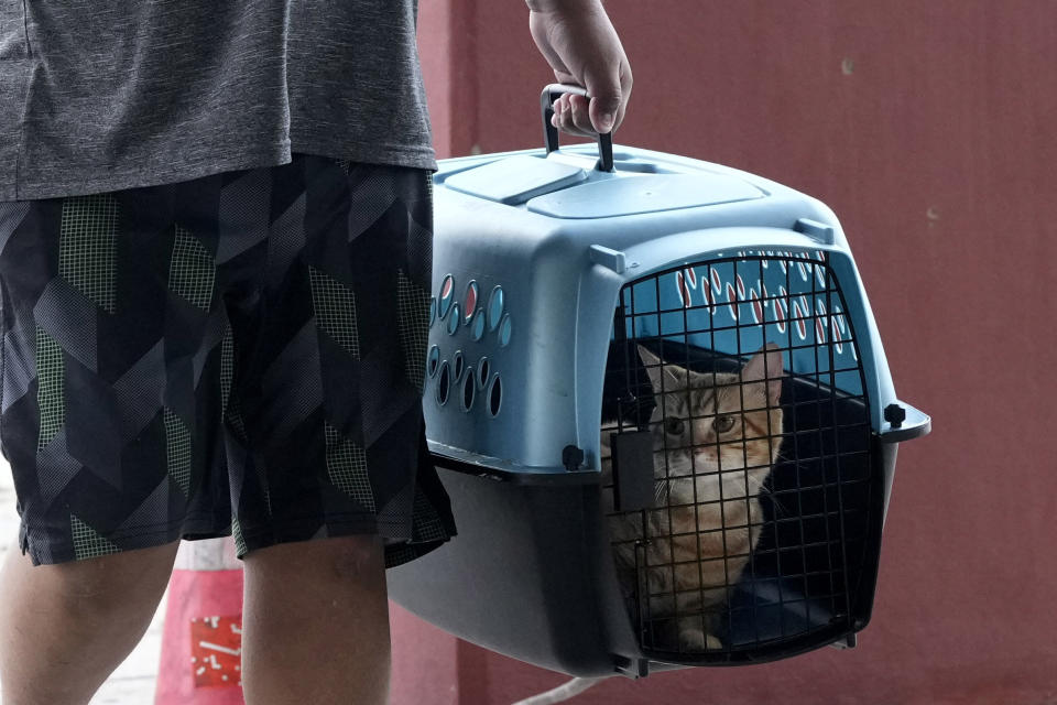 A pet cat is carried to a cooling station in Houston, Tuesday, July 9, 2024. After Hurricane Beryl slammed into Texas, knocking out power to nearly 3 million homes and businesses it moved east and weakened to a tropical depression. (AP Photo/Eric Gay)