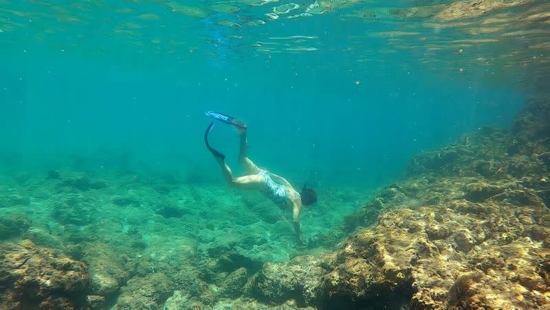 Marine scientist Deborah Brosnan does a research dive on a coral reef in Antigua and Barbuda