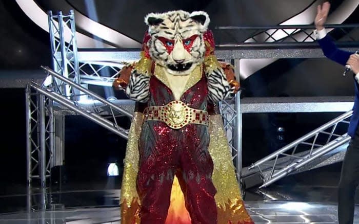 Tigre en Mask Singer