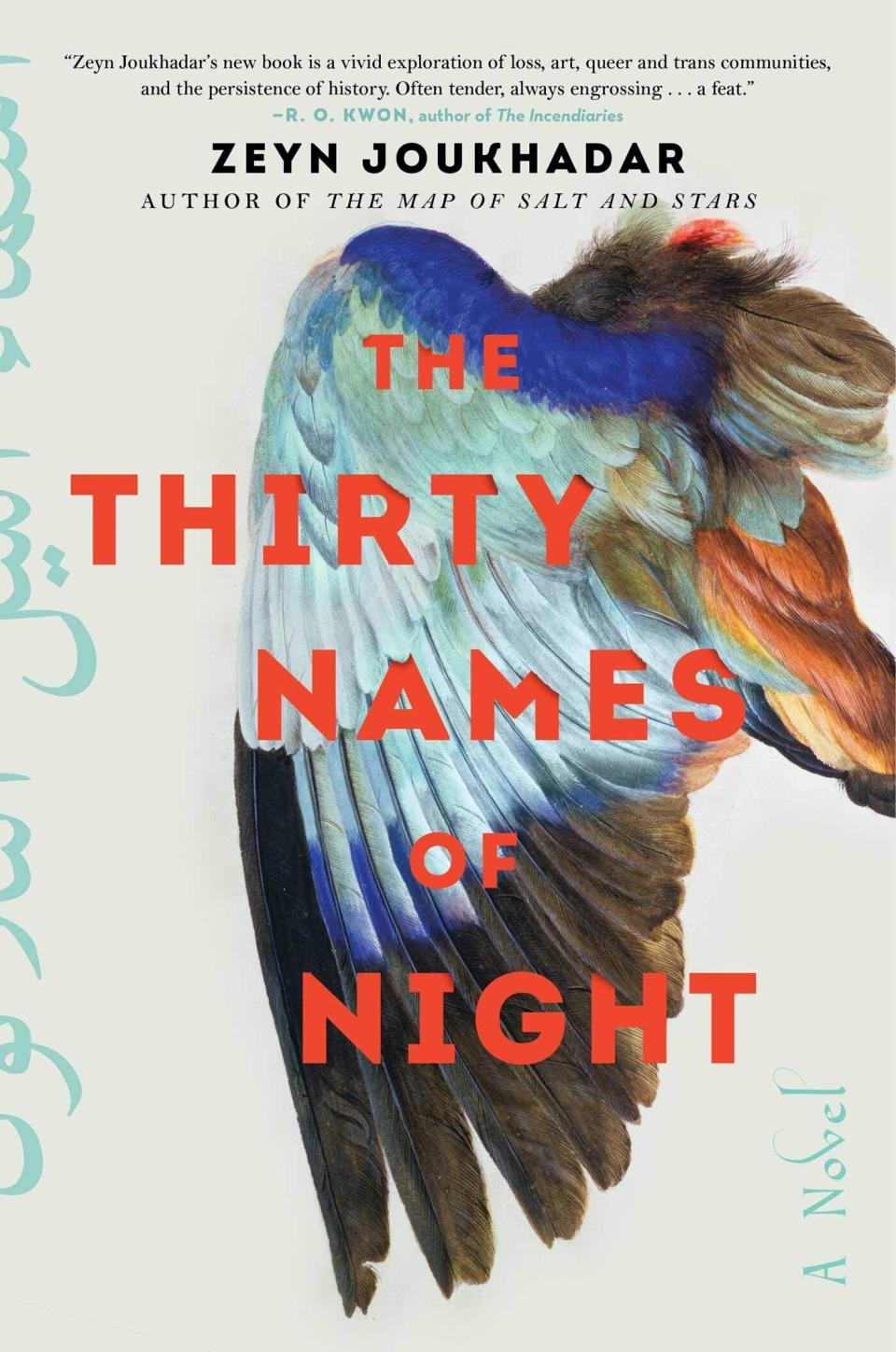 &ldquo;The Thirty Names of Night&rdquo; begins fives years after a suspicious fire kills the mother of a closeted Syrian American trans boy, who is searching for a new name while caring for his grandmother. Pick up this book if you want to read about ghosts, Little Syria in New York City, rare birds, the history of queer and transgender people and more. Read more about it on <a href="https://www.goodreads.com/book/show/52764801-the-thirty-names-of-night" target="_blank" rel="noopener noreferrer">Goodreads</a>, and grab a copy on <a href="https://amzn.to/3p7PFmC" target="_blank" rel="noopener noreferrer">Amazon</a> or <a href="https://fave.co/2TXFhiS" target="_blank" rel="noopener noreferrer">Bookshop</a>.<br /><br /><i>Expected release date:</i> <i>Nov.</i><i> 24 </i>