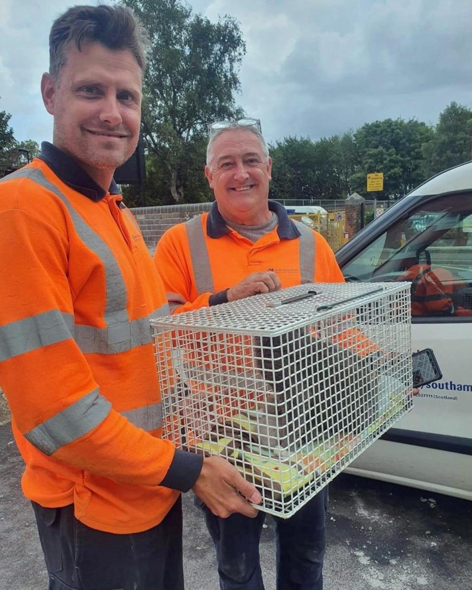 Terry Amor and Garry Black with Bella, who they found in an electrical substation in Southampton (SSEN)