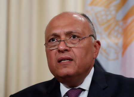 FILE PHOTO: Egyptian Foreign Minister Sameh Shoukry speaks at a news conference in Moscow,